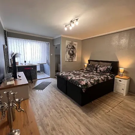 Zizi's House Garii 2