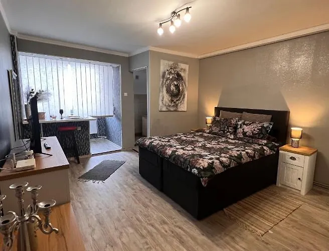 Zizi's House Garii 2